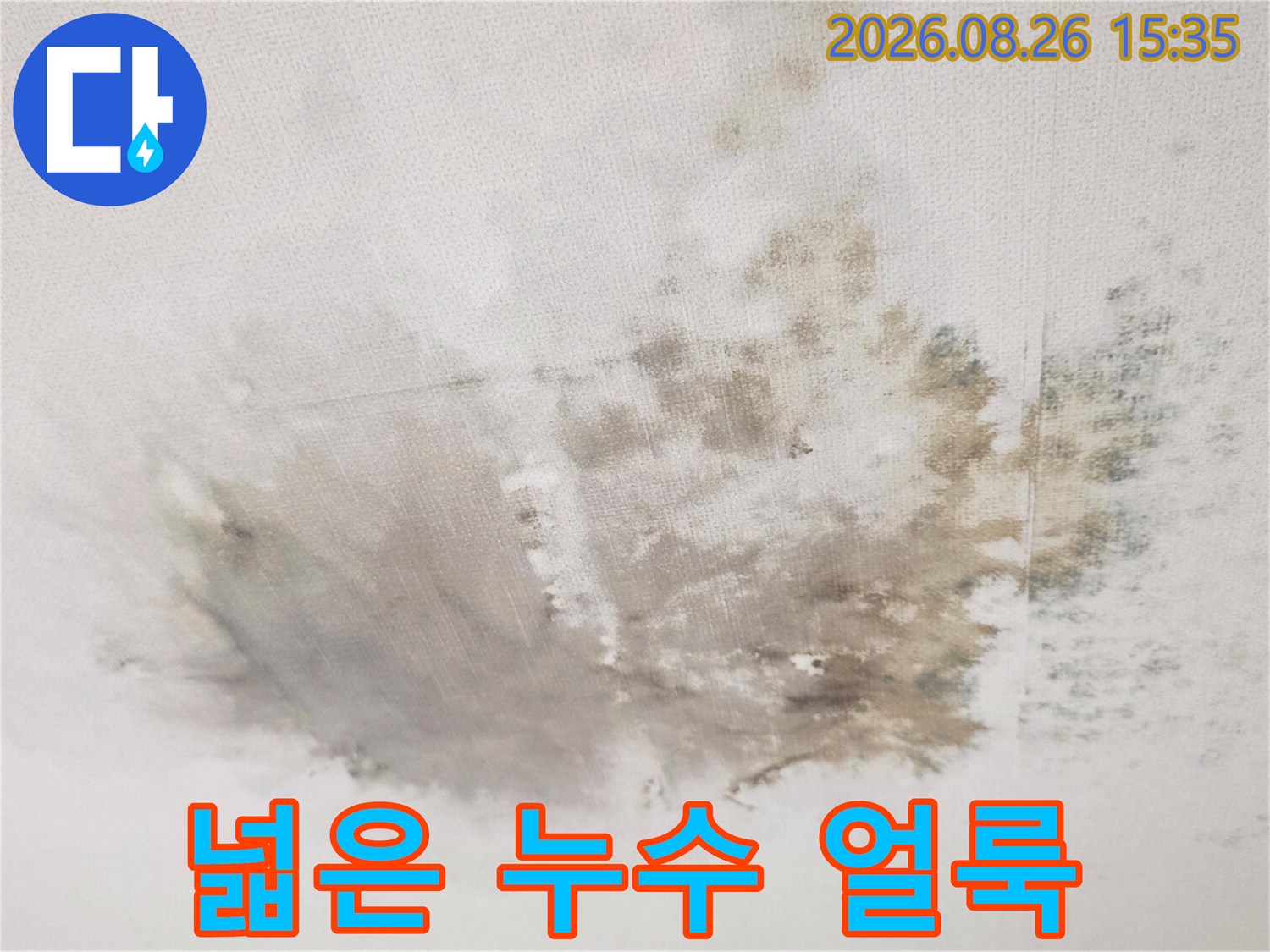 광범위하게 퍼진 천장 누수 흔적과 습기 오염 부위