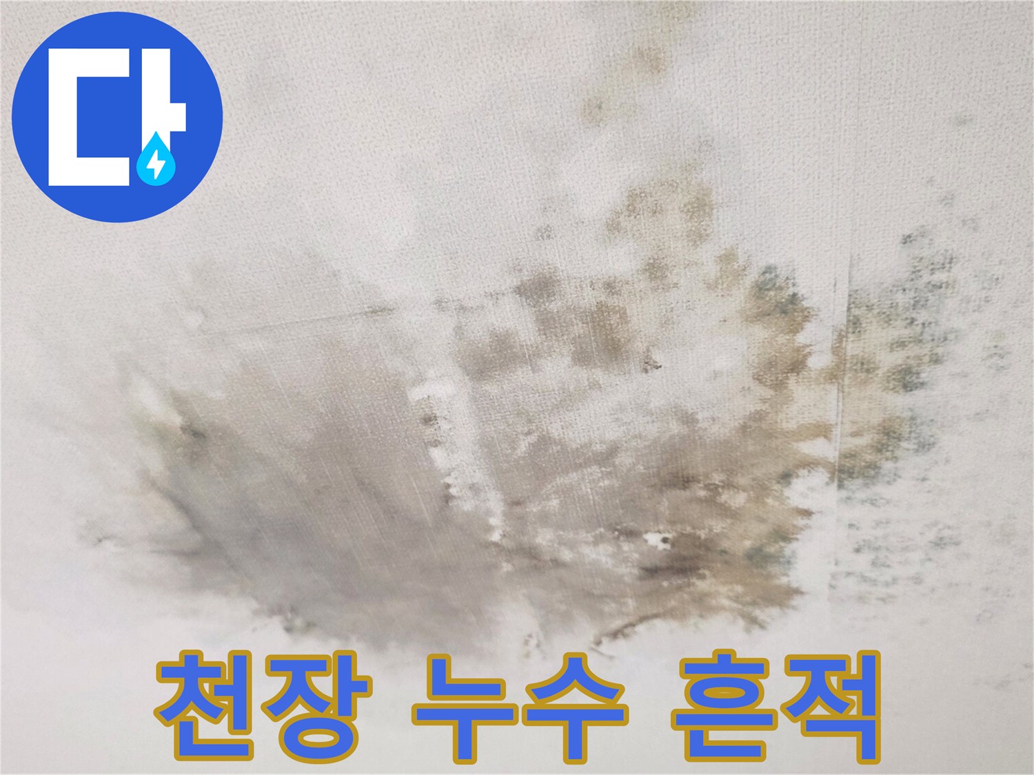 넓은 범위로 번진 천장 물 얼룩과 곰<0xAE>팡이