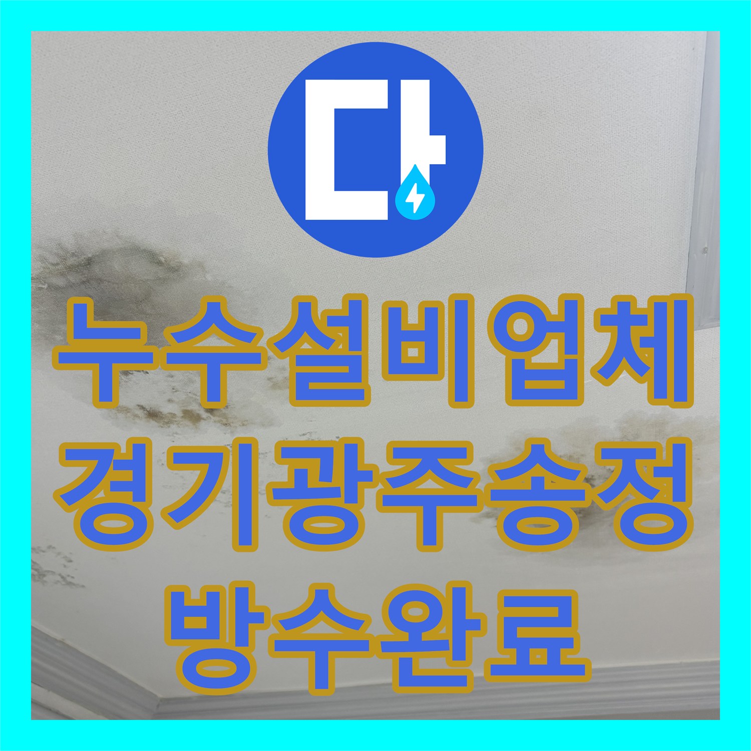 누수설비업체 빌라 거실 천장 누수 원인을 방수층 파손에서 찾아 해결한 경기 광주시 송정동