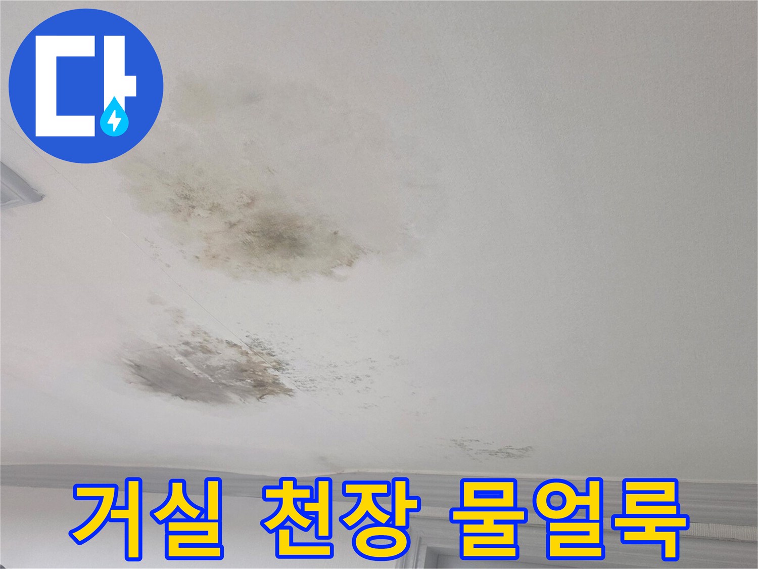 빌라 거실 천장에 발생한 넓은 범위의 젖은 얼룩과 곰팡이 상태