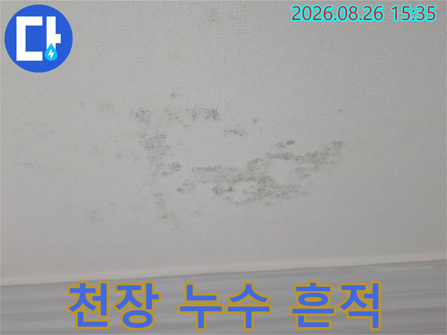 습기가 침투하여 곰팡이가 발생한 천장 도배지 상태