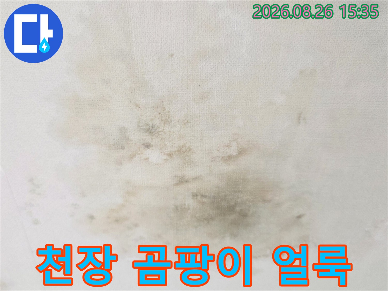 습기로 인해 발생한 천장의 넓은 곰팡이 오염부위