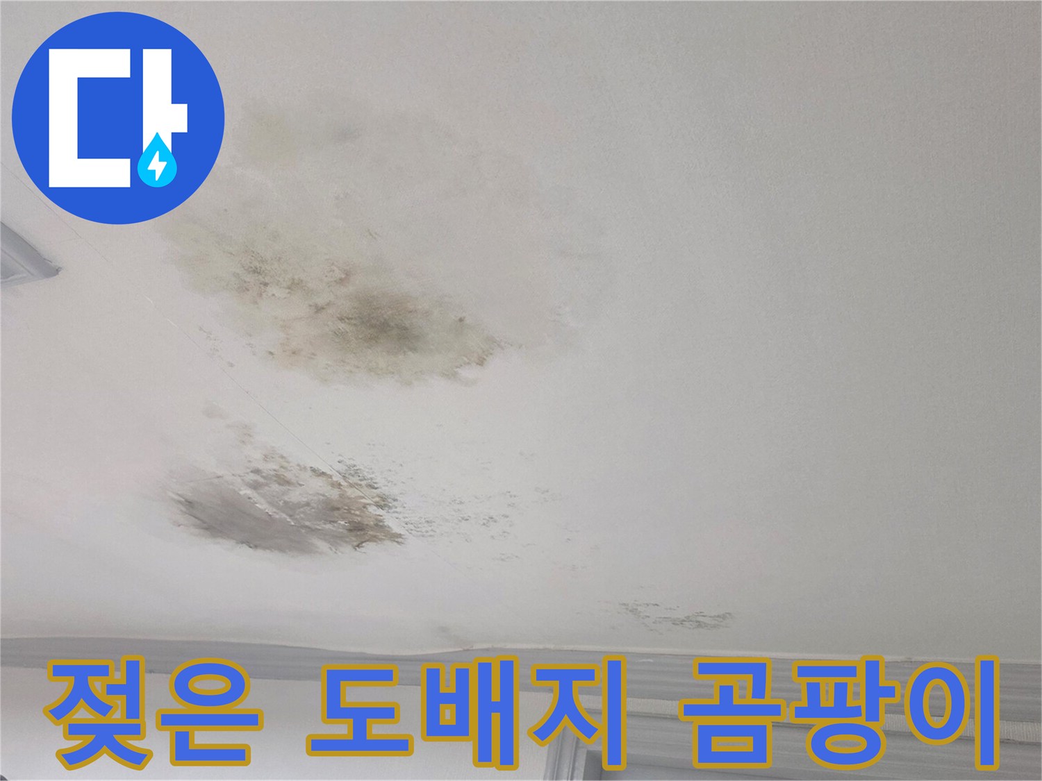 천장 도배지에 나타난 심한 변색과 곰팡이 흔적
