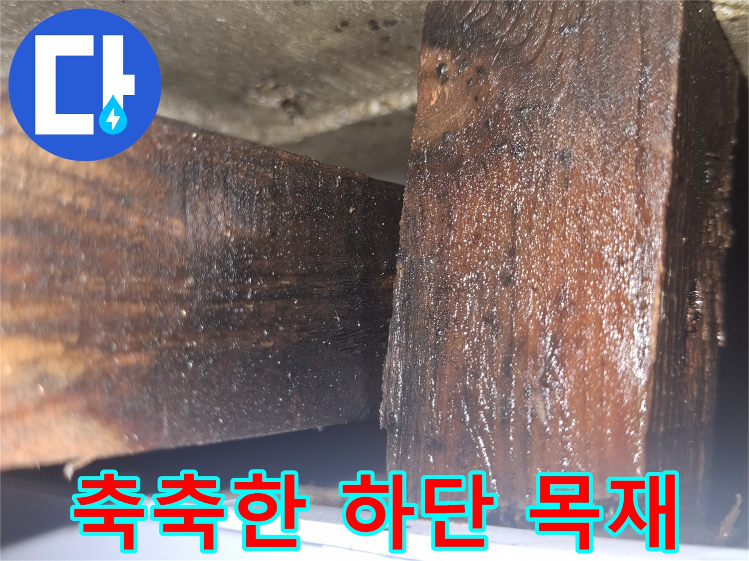 물기가 스며들어 어둡게 변해버린 싱크대 하부 목재 구조