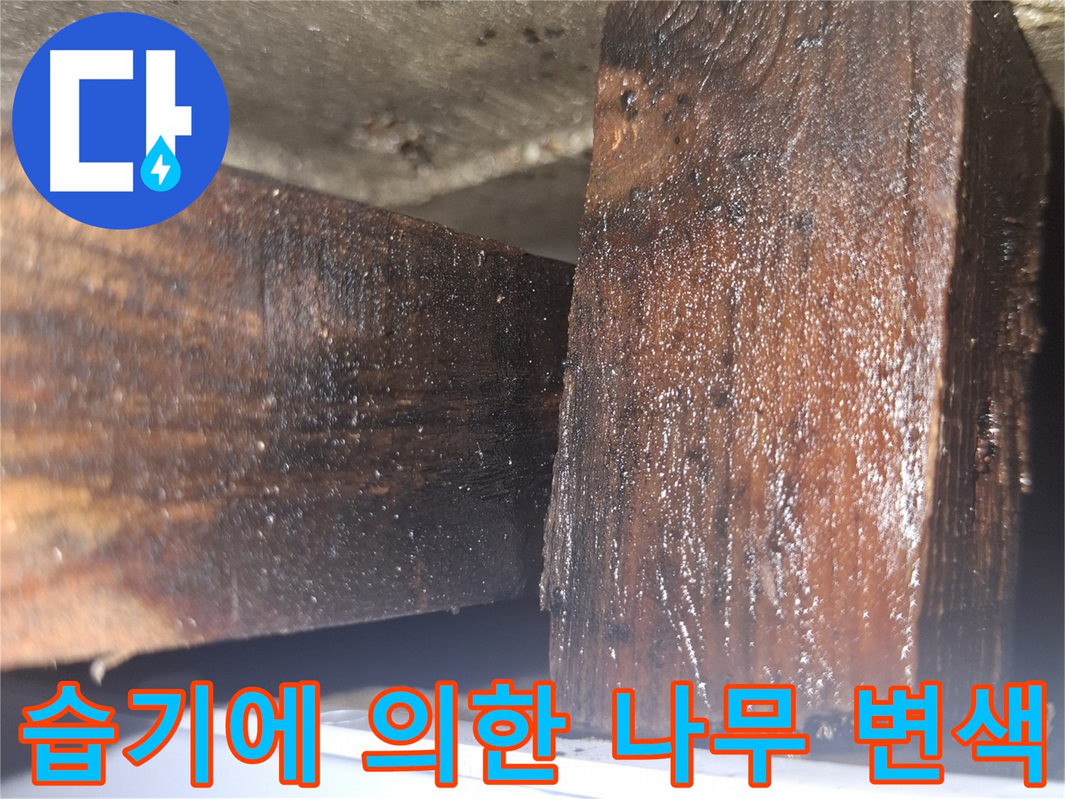 물에 젖어 어둡게 변한 목재 구조 부위