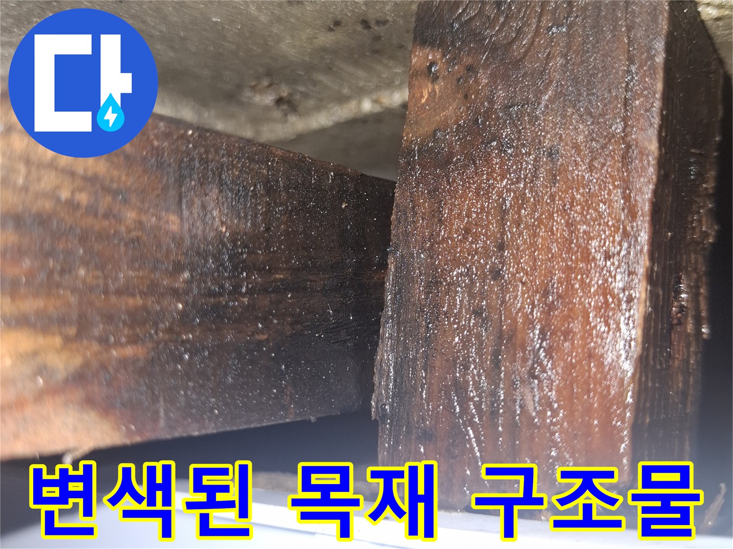 습기로 인해 검게 변색된 내부 목재 프레임 상태