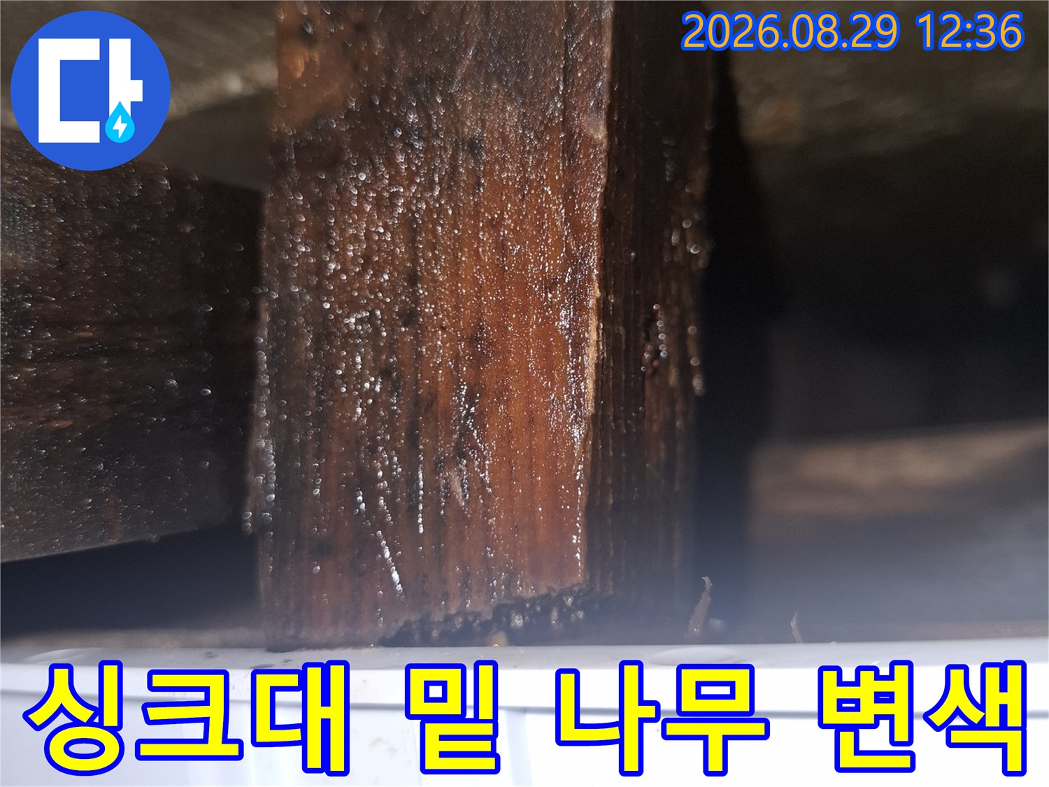 양천구 목동 현장 - 습기로 인해 검게 오염된 싱크대 하부 목재 구조물