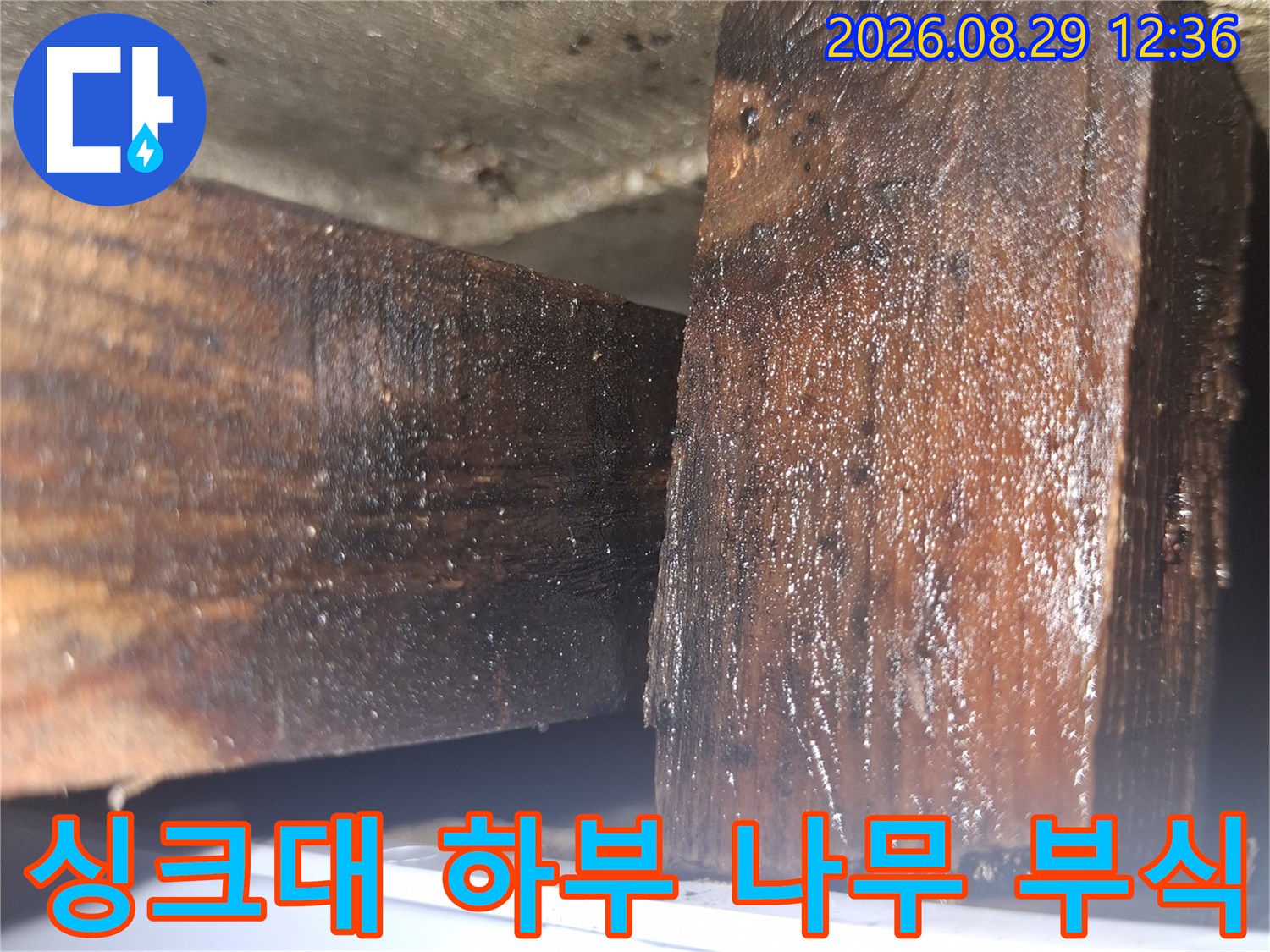 양천구 목동 현장의 싱크대 하부장 목재 부식 상태