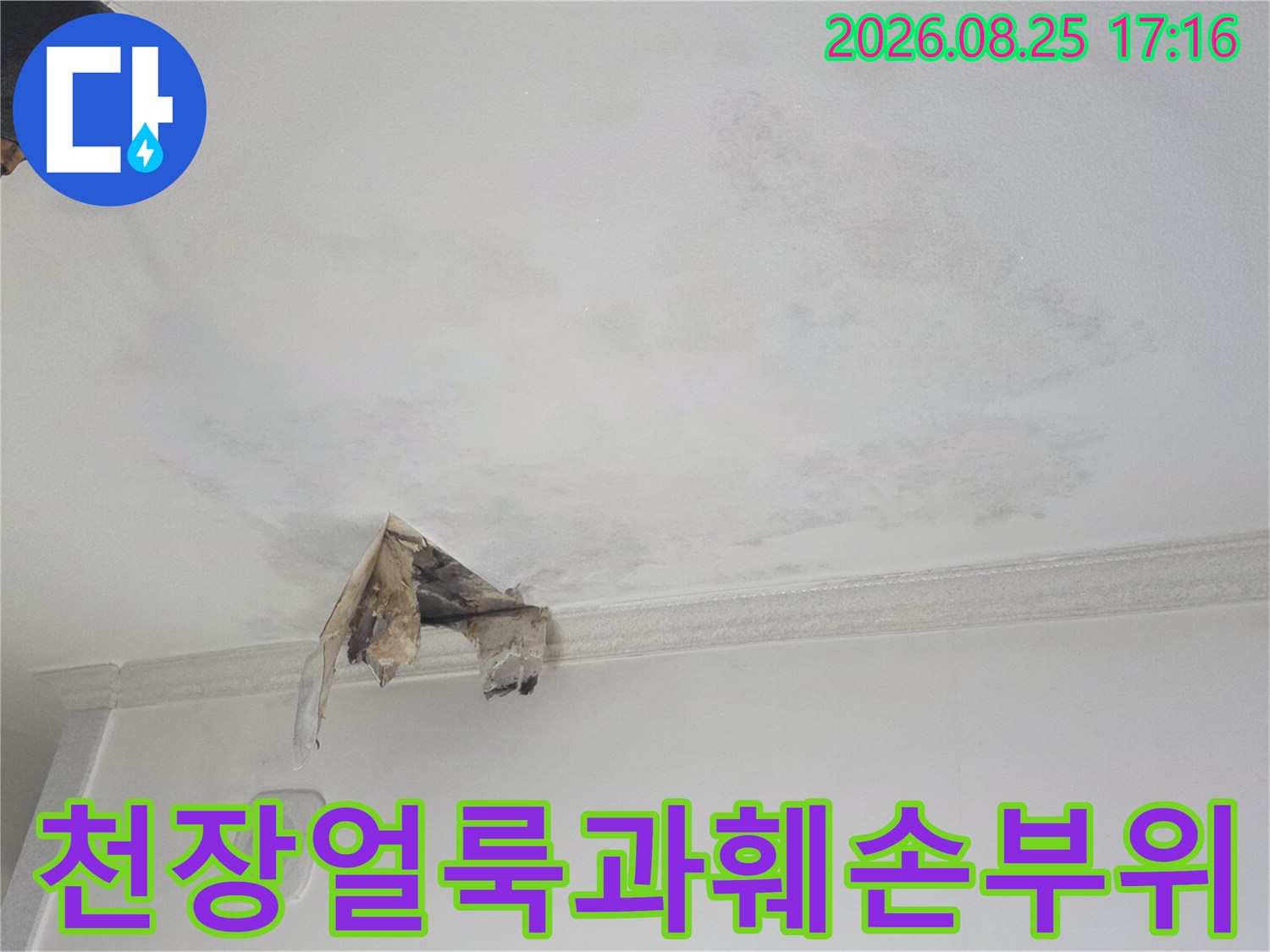광명 하안동 천장의 넓은 얼룩과 찢어진 마감재의 모습입니다.