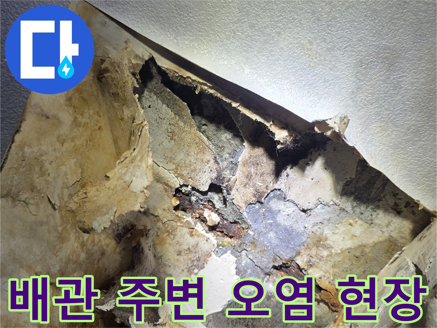 배관-주변의-이물질과-젖은-흙의-상태