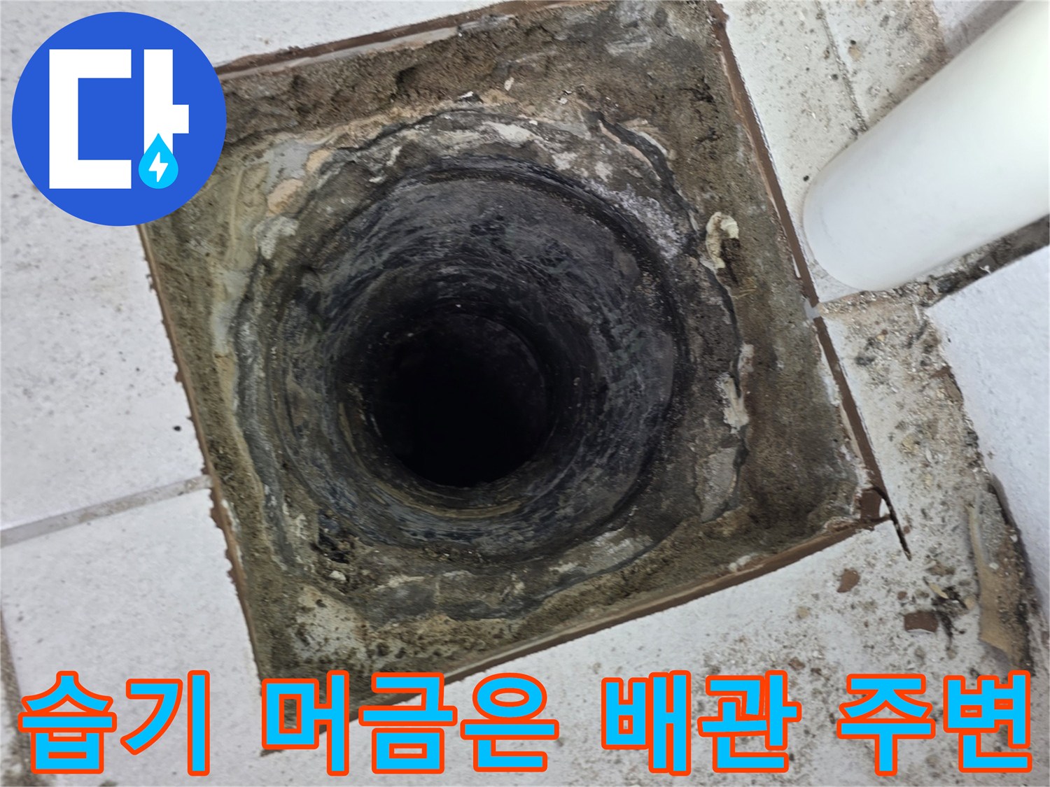 배관 하부 누수흔적-우수관 주변의 젖어있는 타일 마감 부위