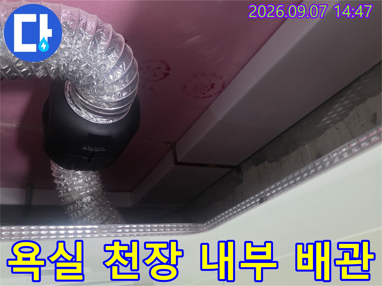 분홍색 천장재와 연결된 투명 호스 및 배관 구조입니다.