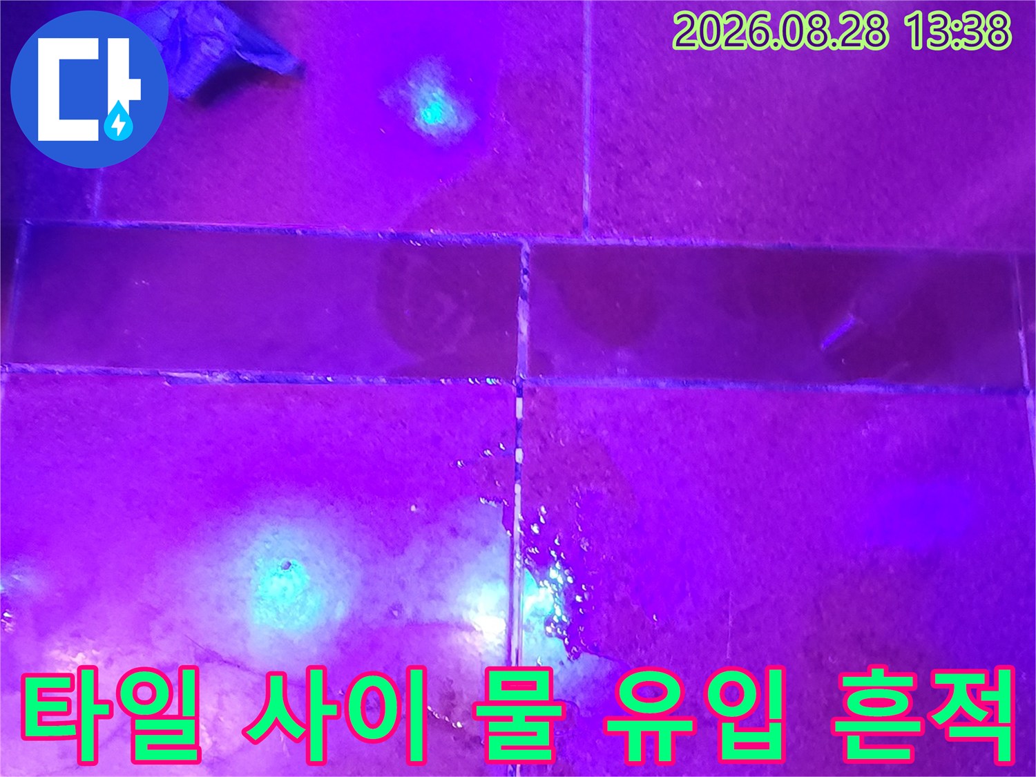 자외선-조명으로-찾아낸-타일-사이-누수-경로