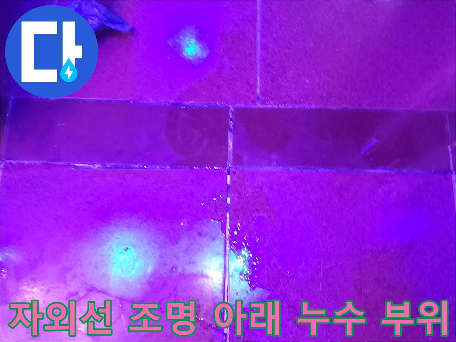 자외선-조사-를-통해-드러난-타일-틈새의-물샘-경로