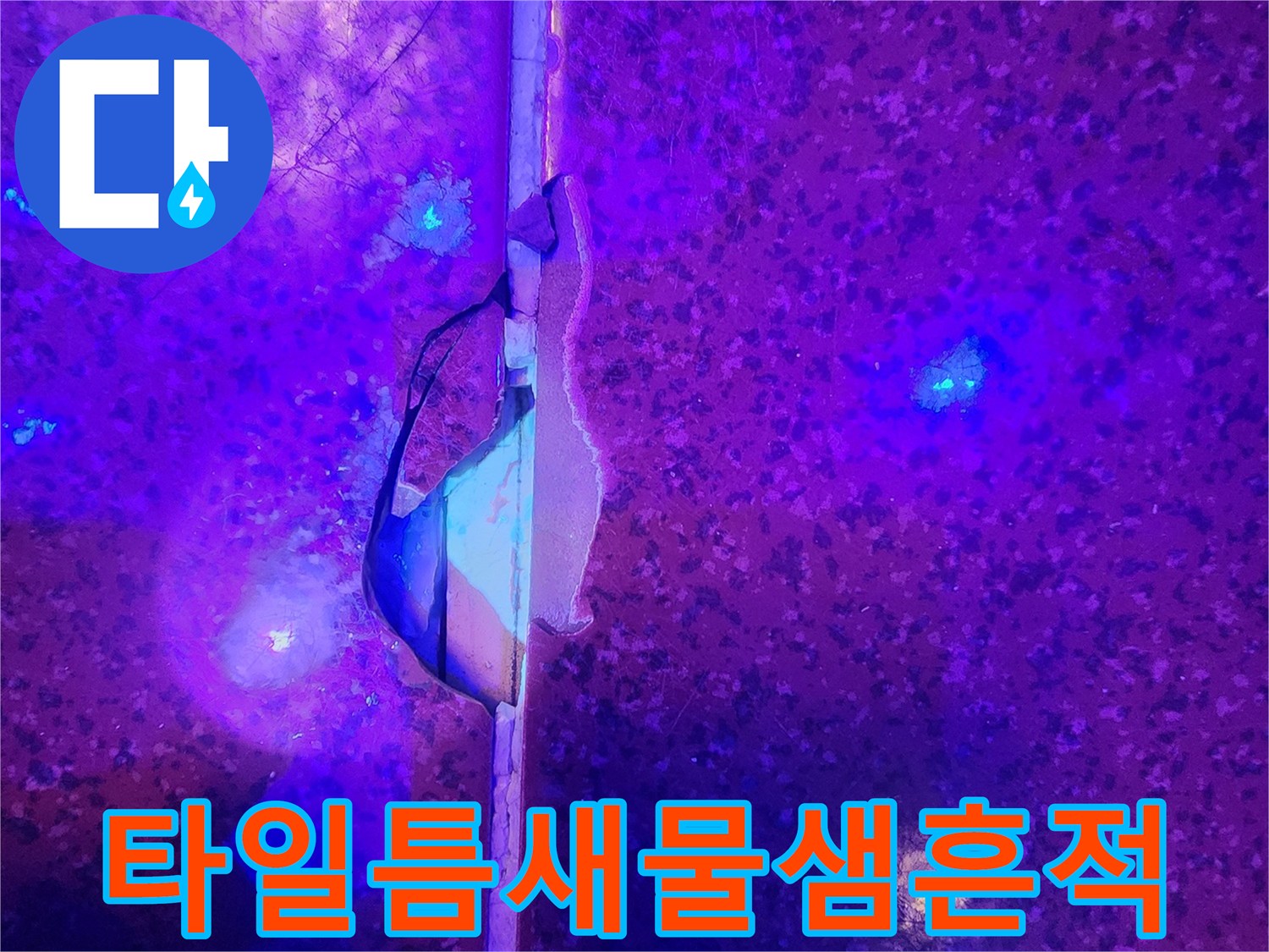 푸른-빛으로-표시된-타일-사이-누수-유입-경로