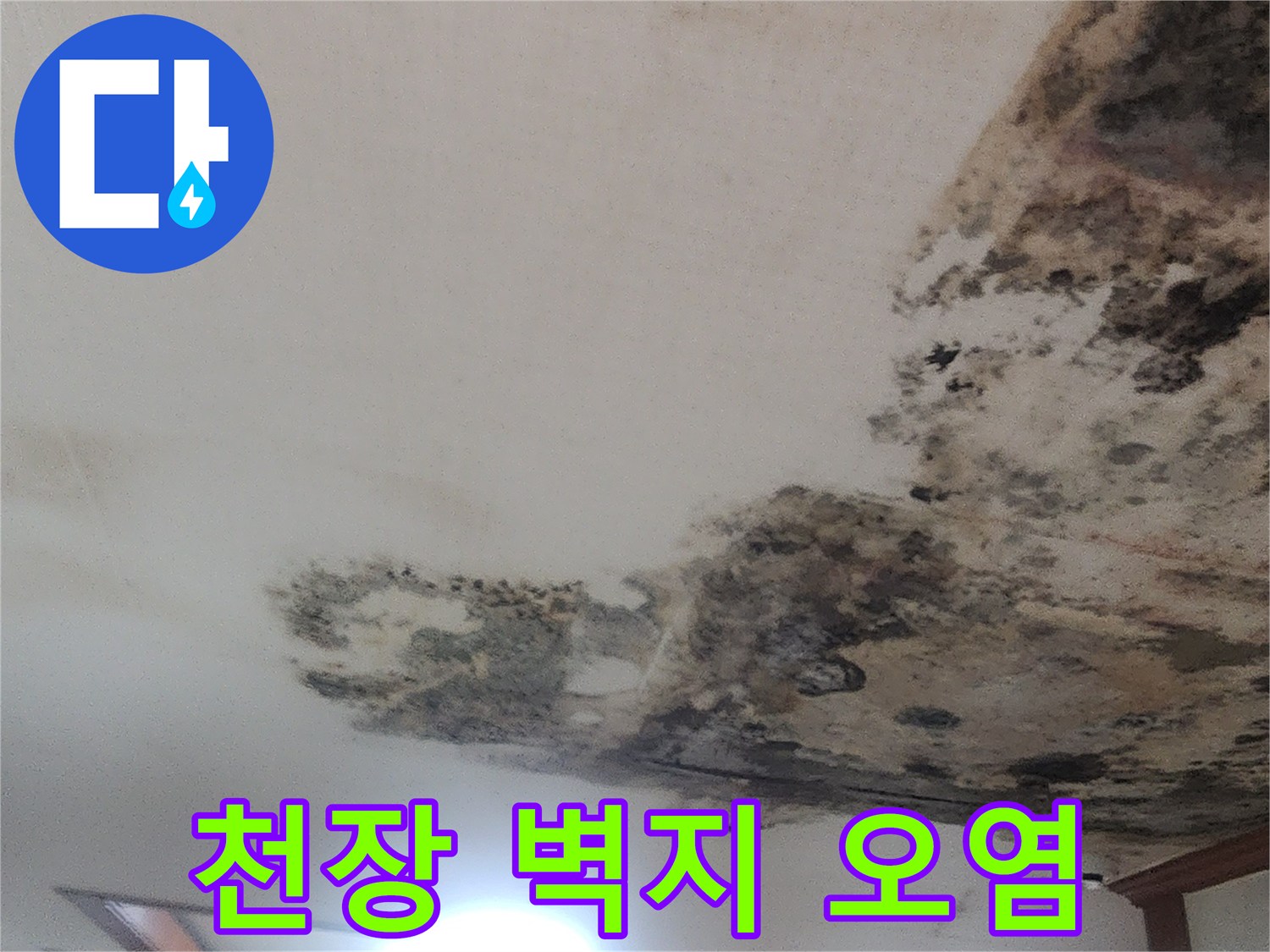 거실-천장-벽지-오염과-곰팡이-확산-모습