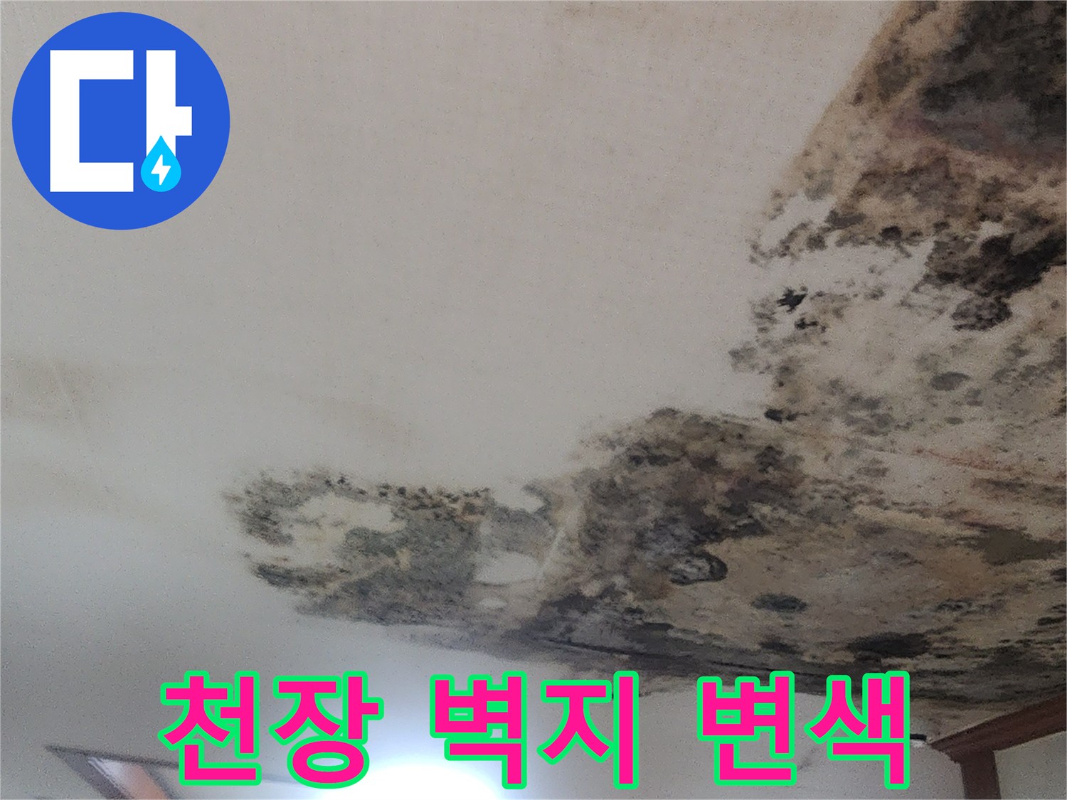 누수로 인해 얼룩지고 곰팡이가 생긴 천장 부위