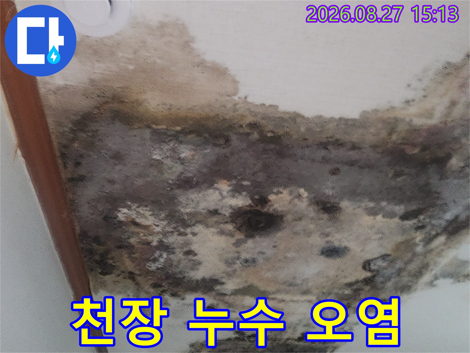 물샘으로 인해 변색된 거실 천장 벽지와 곰팡이 발생