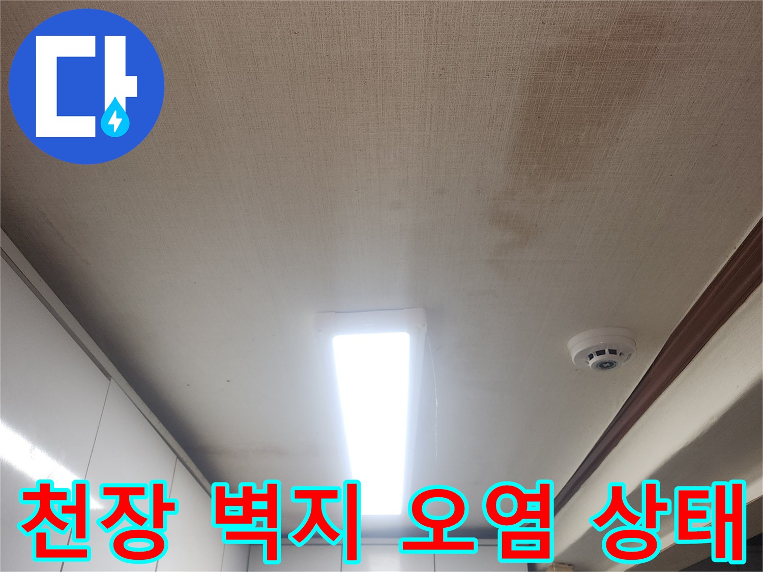 성북구 거실 천장-벽지 곰팡이 및 습기로 인한 오염 부위