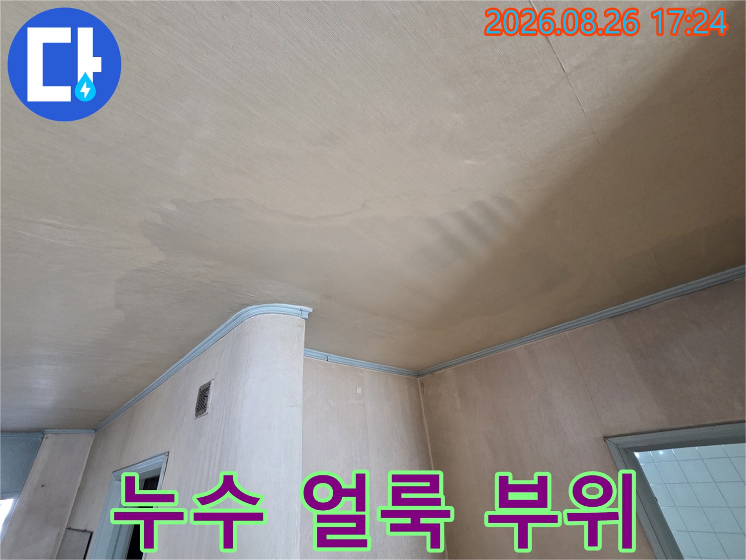 넓게 퍼진 천장 누수 얼룩과 젖어 있는 벽면 상태