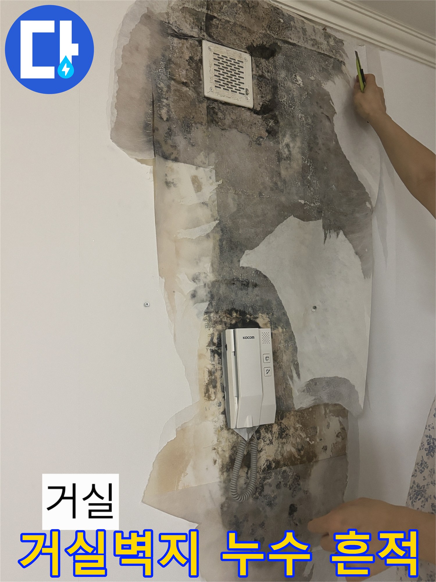 노원구 상계동 아파트-거실 벽지 변색 및 곰팡이 발생 상태