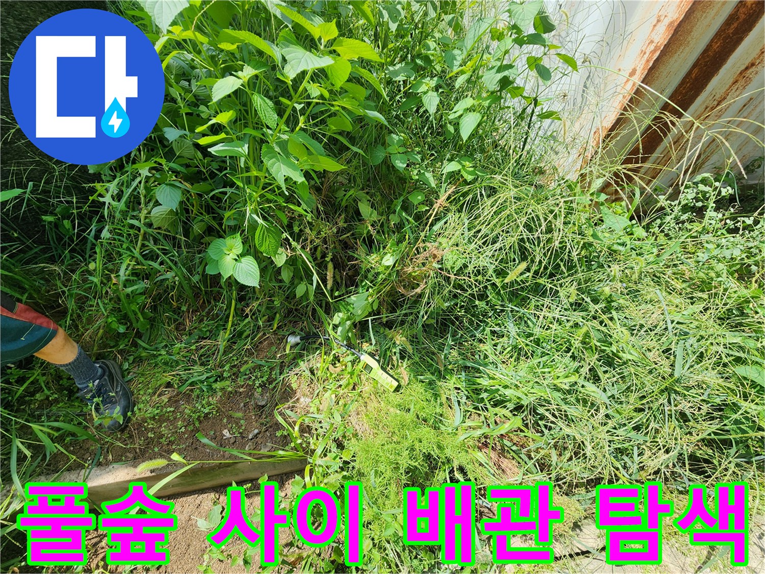 무성한 잡풀 사이에서 진행하는-상수도 누수 지점 추적 작업