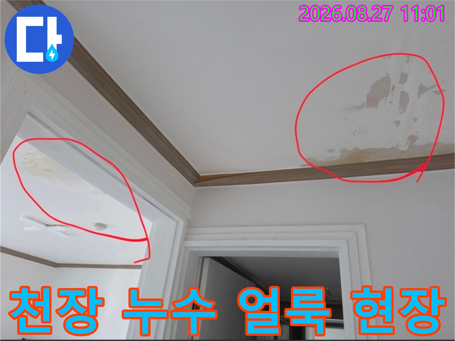 금산읍 아파트 천장의 물자국과 오염된 부위