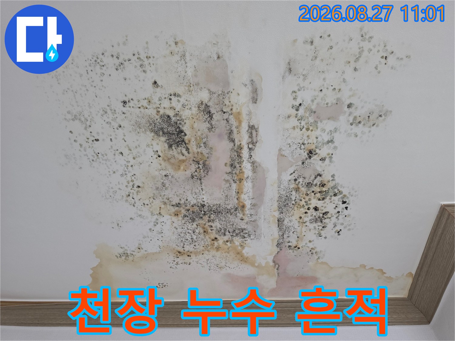 천장 벽면을 타고 번진 황색 물 얼룩과 곰팡이 자국