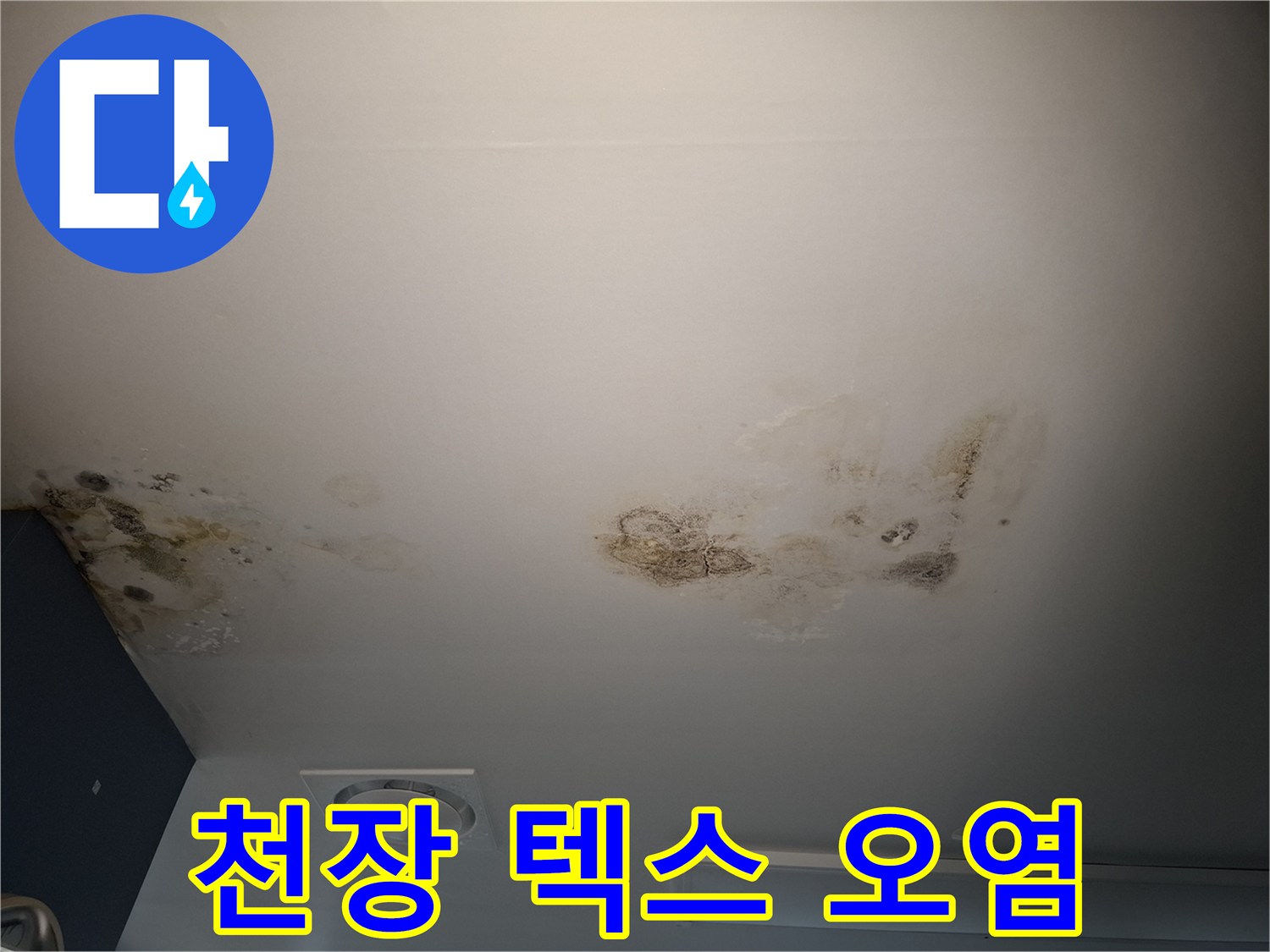 물샘 현상으로 변색된 천장 텍스 마감재