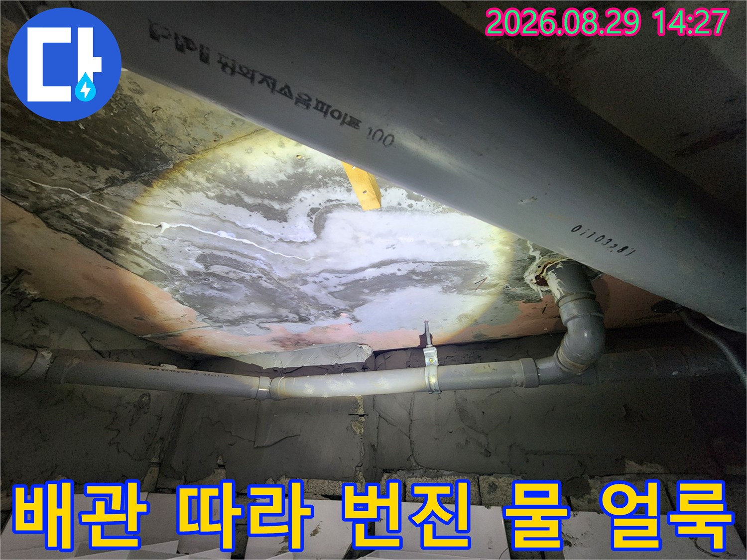 상현래동 현장-천장 배관 주변에 형성된 넓은 누수 변색 부위