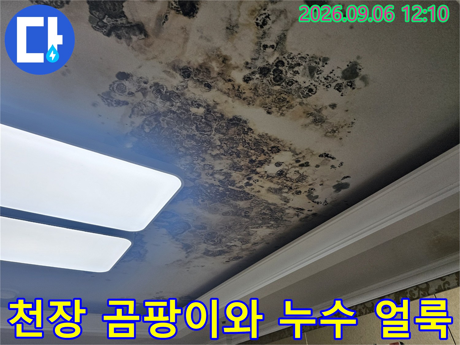 심각하게 오염된 거실 천장의 누수 및 곰팡이 흔적