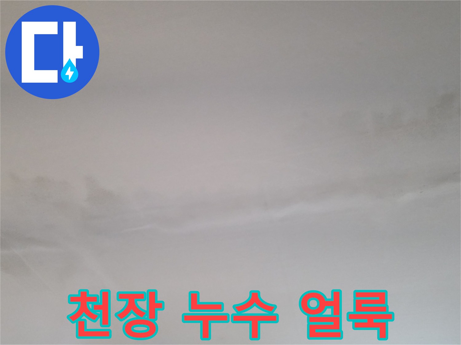 동두천 빌라 천장의 젖은 흔적과 오염 상태