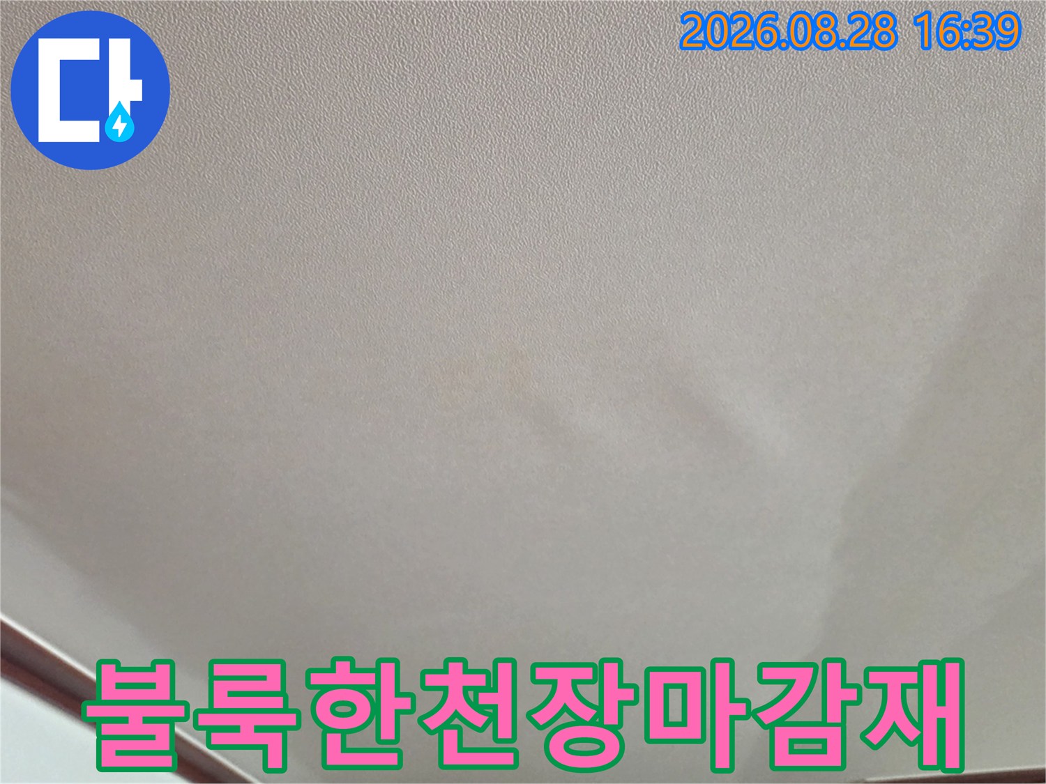 물샘으로-부풀어오른-천장지