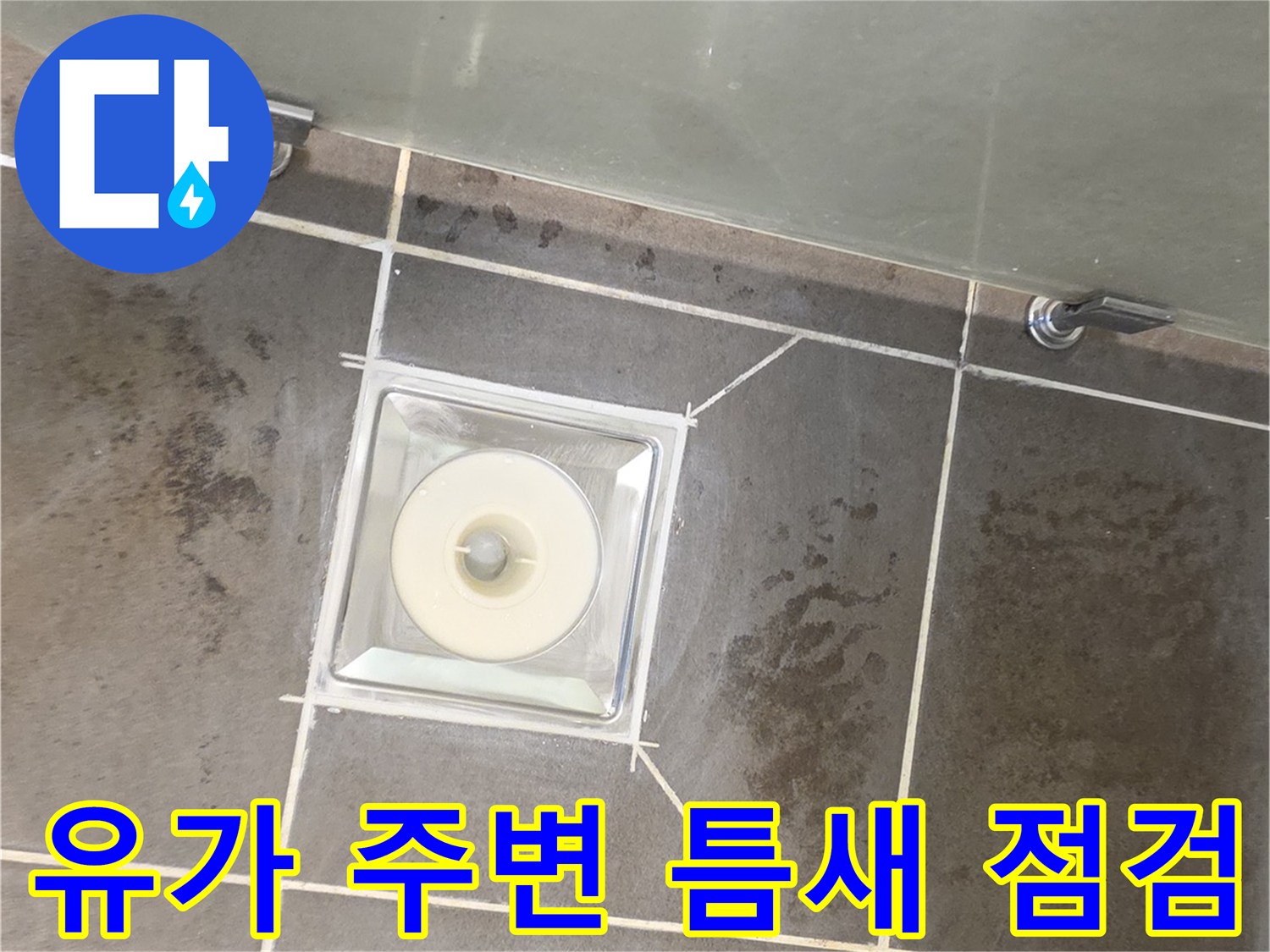 욕실 배수구 유가 주변의 타일 균열 및 습기 상태