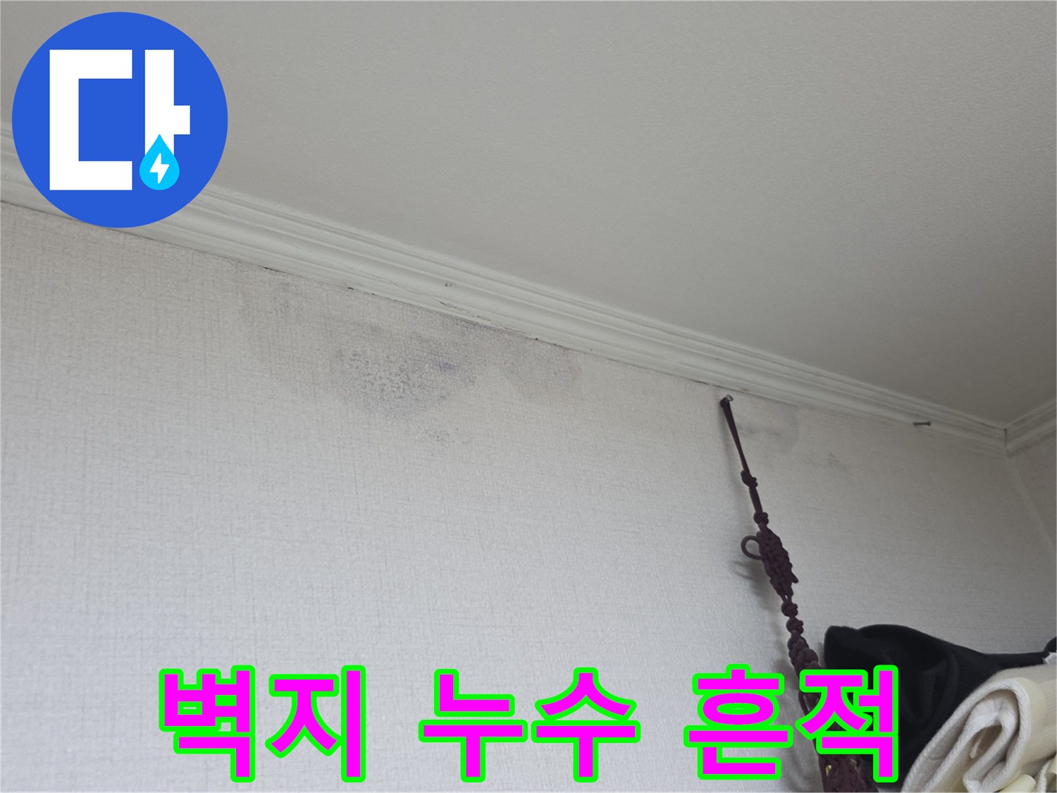 천장 가장자리에 나타난 물샘 및 변색 현상