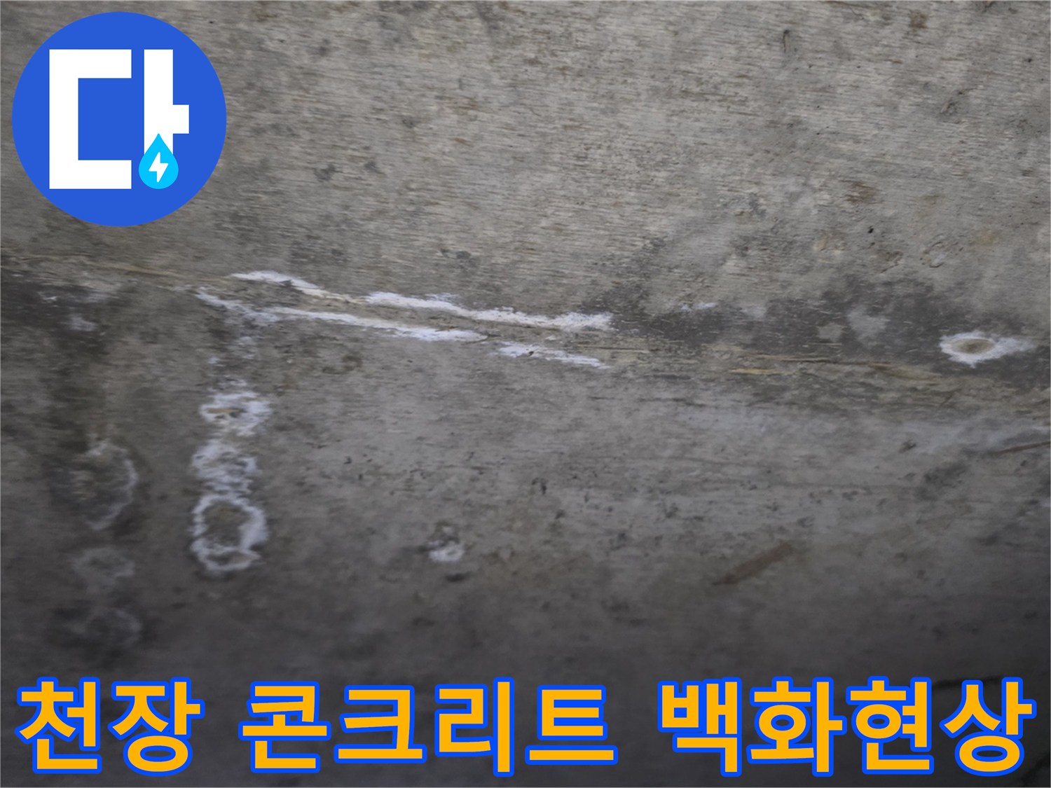 콘크리트 천장 부근에 하얀색 백화 현상과 물자국이 남은 모습