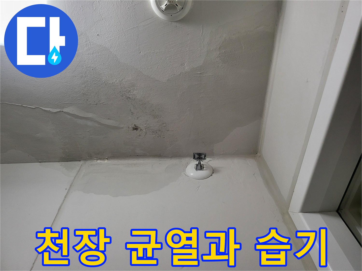 세탁실 천장 균열 사이로 스며든 물자국과 오염된 벽면
