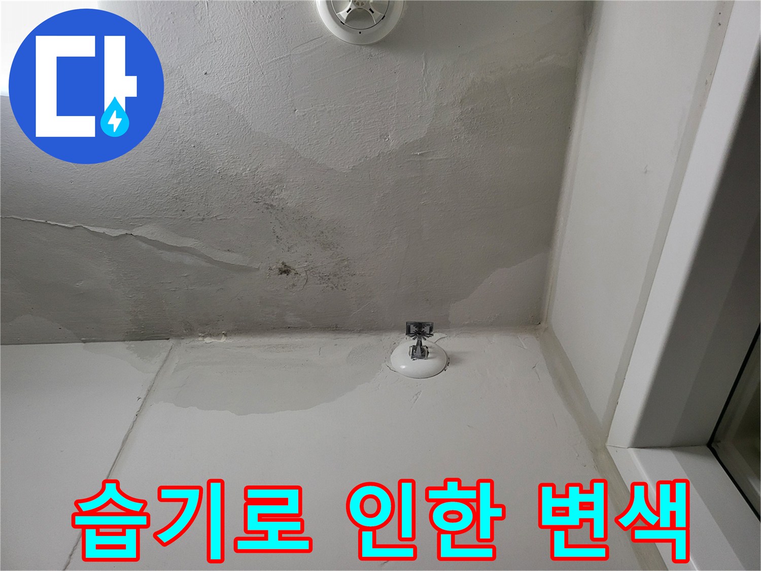 세탁실 천장면-물기가 스며들어 발생한 넓은 변색 범위