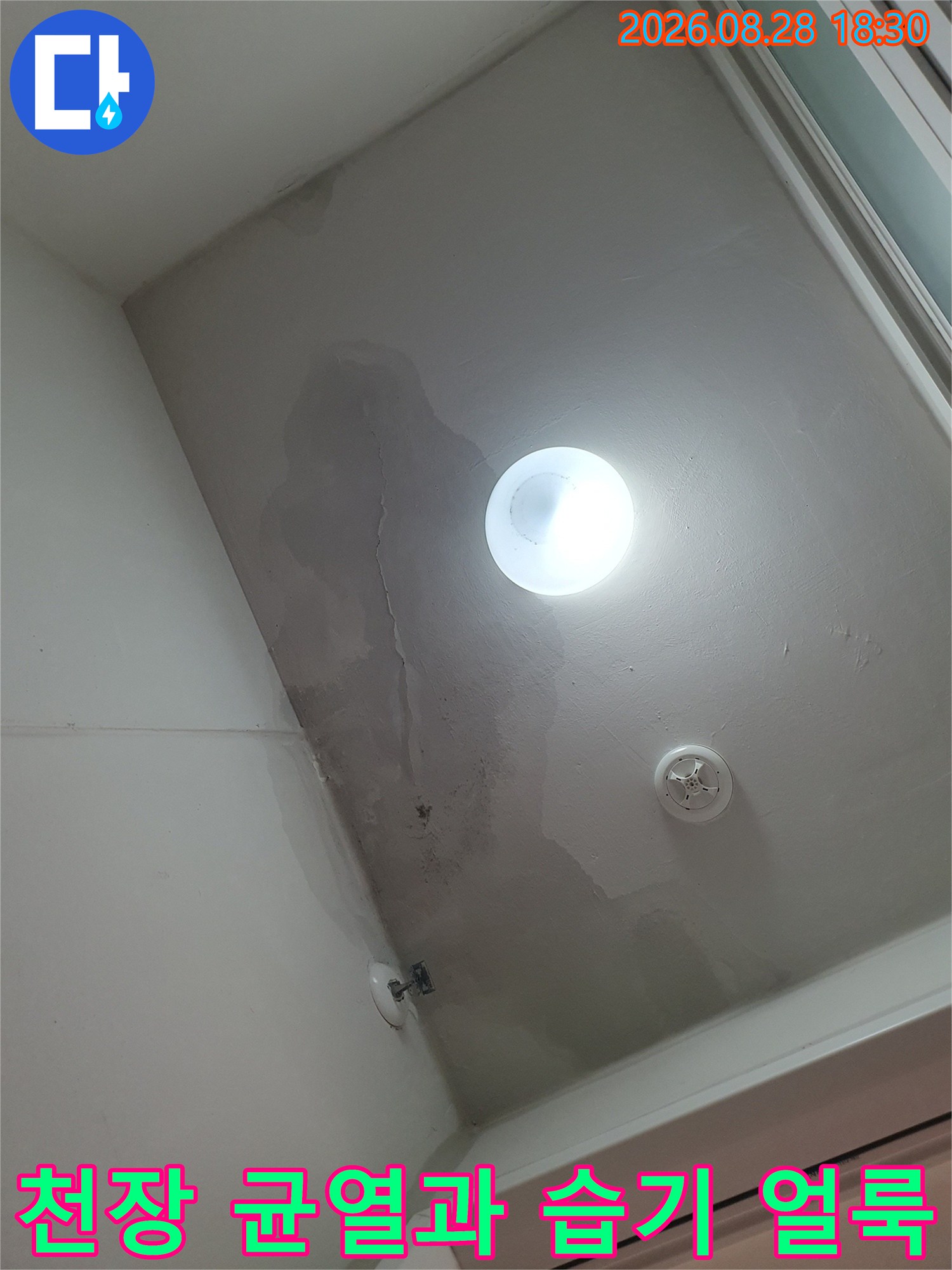 세탁실 천장면의 미세한 균열과 넓게 퍼진 물 얼룩 상태