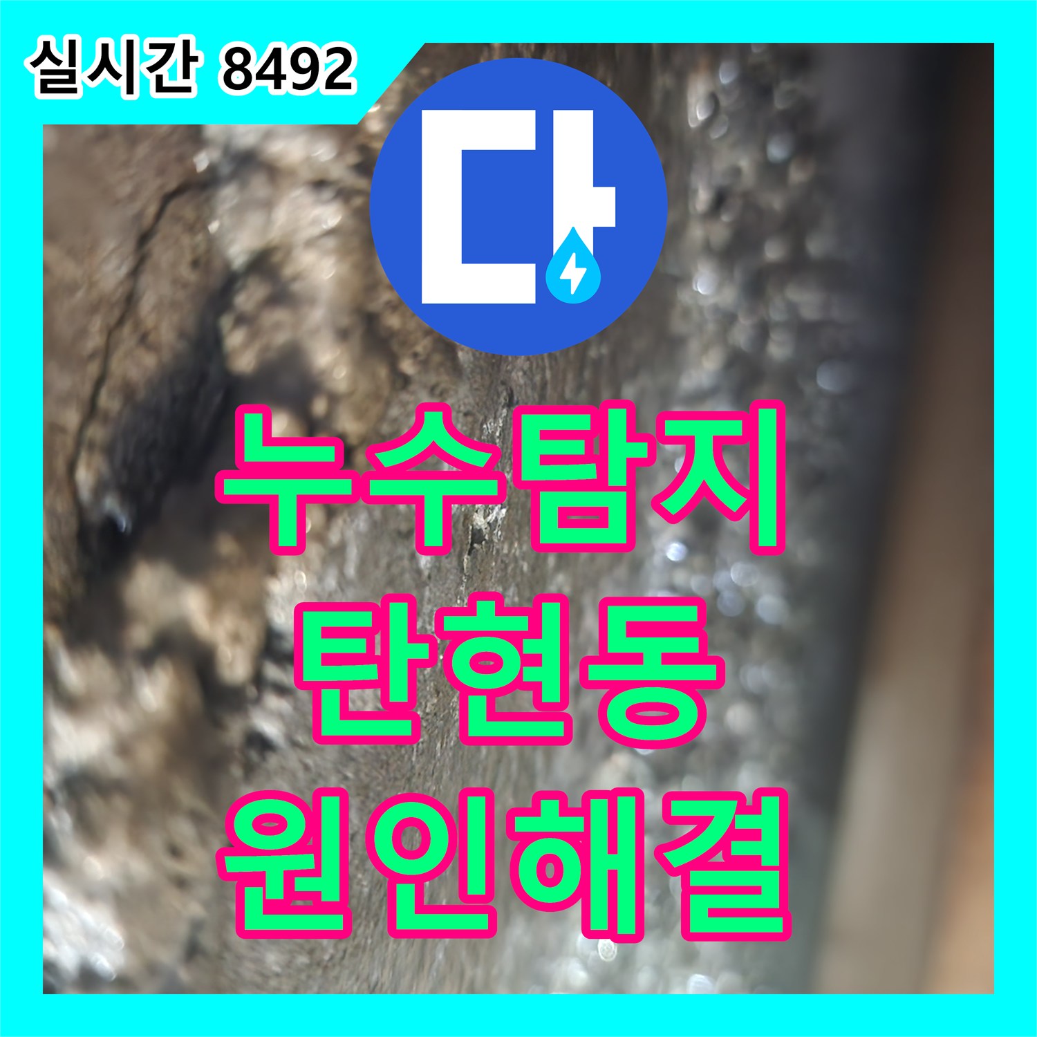누수탐지 201호 거실 등박스 천장 누수의 원인을 화장실 수전 보수로 잡은 과정 경기 고양시 일산서구 탄현동