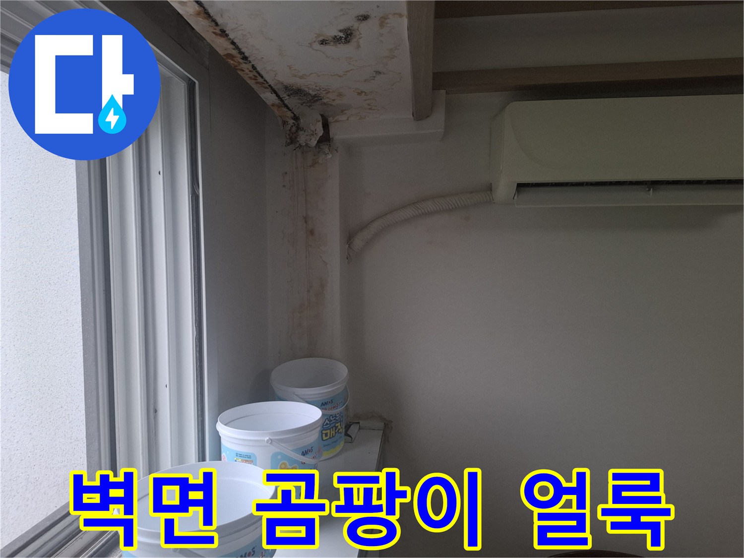 창문 근처 벽면에 발생한 습기 및 곰팡이 오염 부위