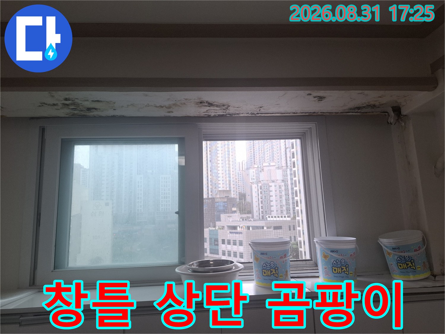 창문 프레임 주변-천장과 벽면의 심한 곰팡이 오염 상태
