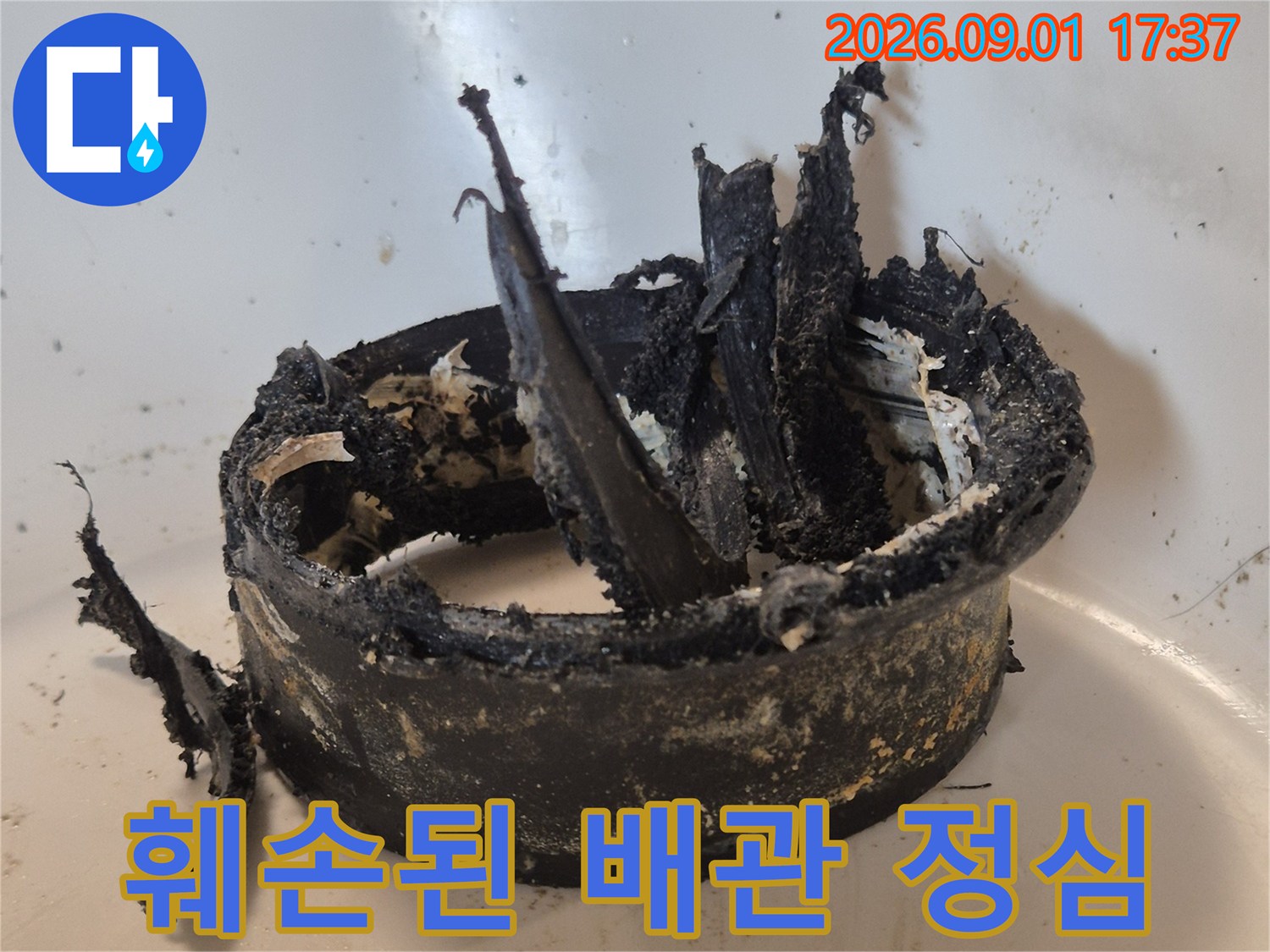 배관 연결 부위에서 찢어져 나간 정심의 파손 모습