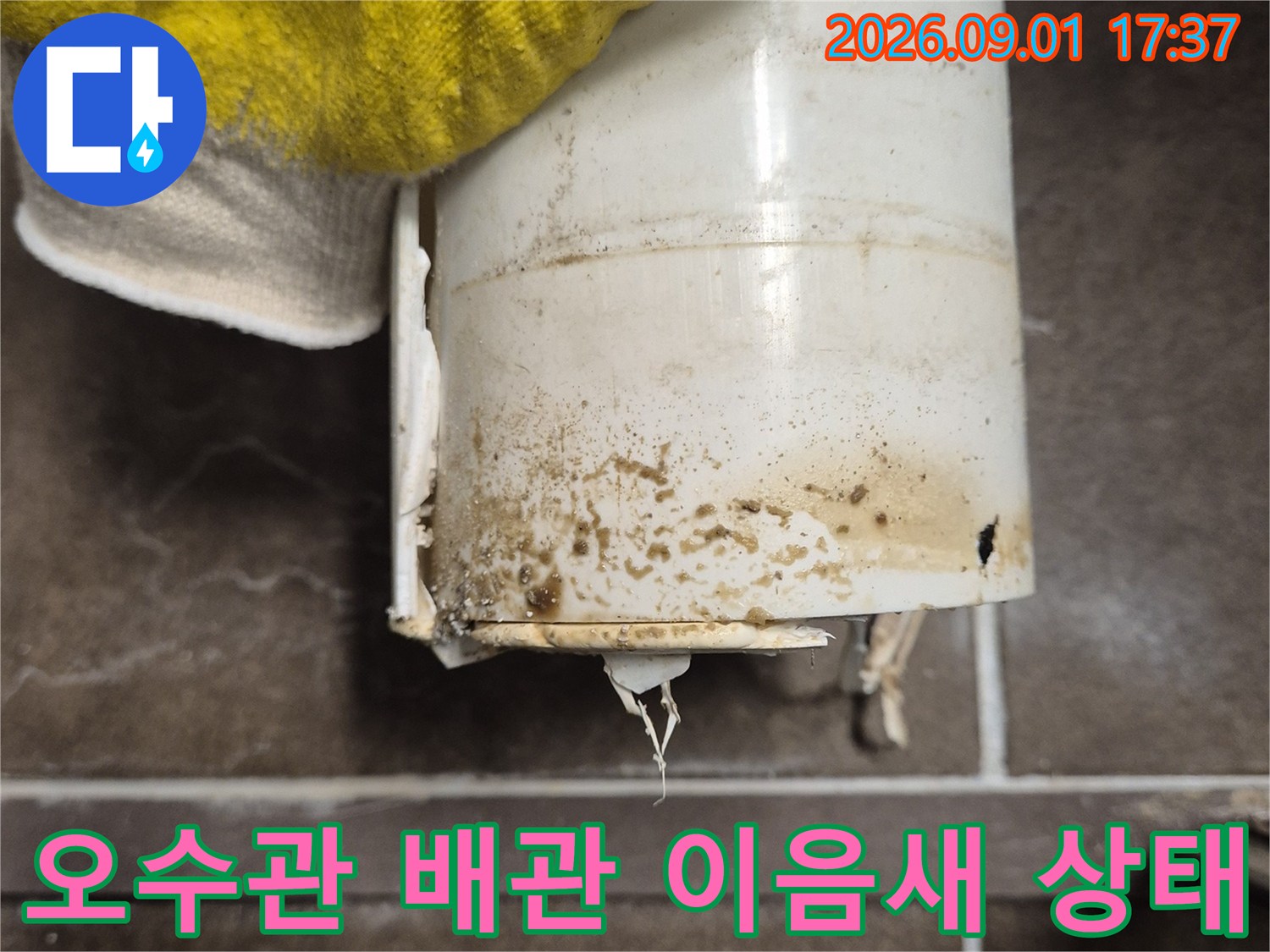 오수관 연결 부위의 오염과 파손된 배관 상태를 보여주는 사진입니다.
