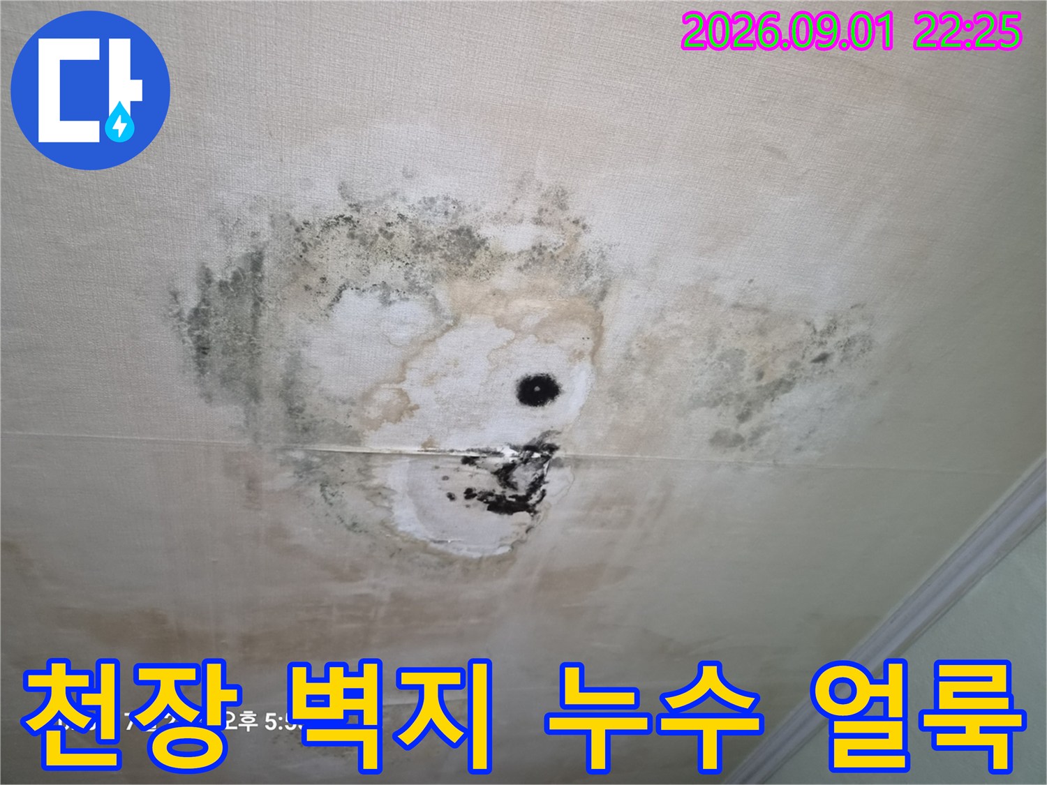 검게 변한 곰팡이와 습기가 배어있는 천장 벽지