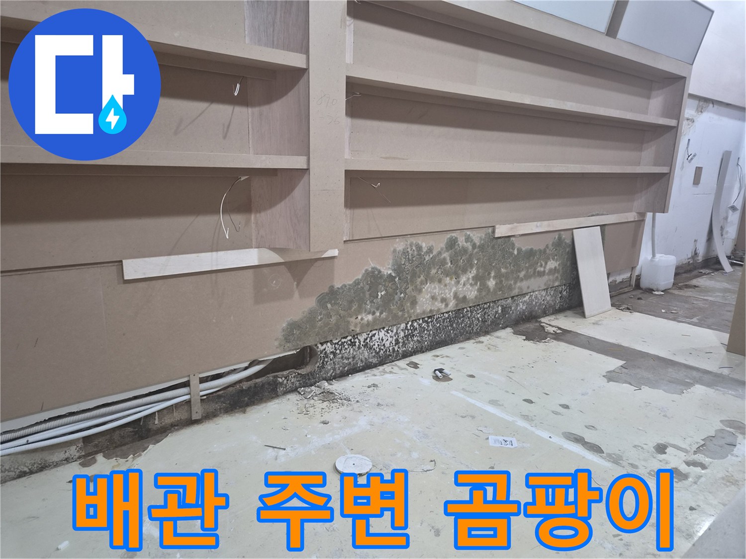 벽체 하단부-배관 주변의 곰팡이 오염 상태