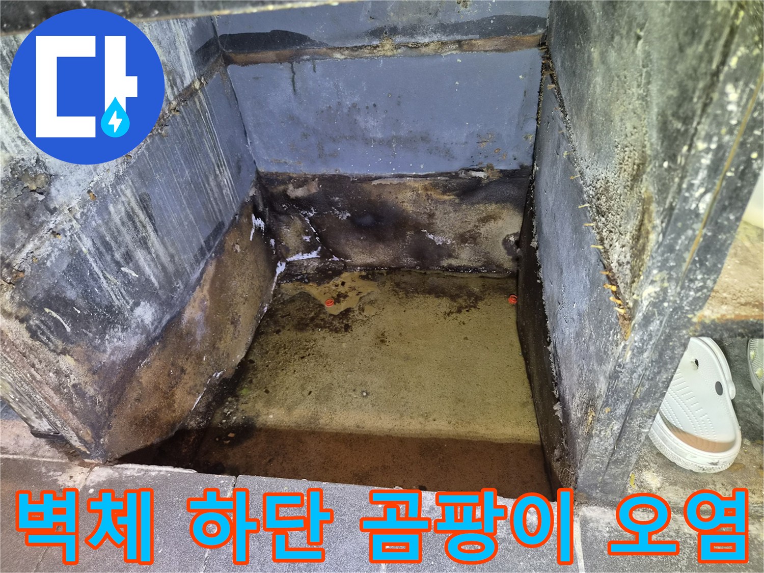 습기로 오염된 가벽 하부-물샘으로 인한 곰팡이 발생 부위
