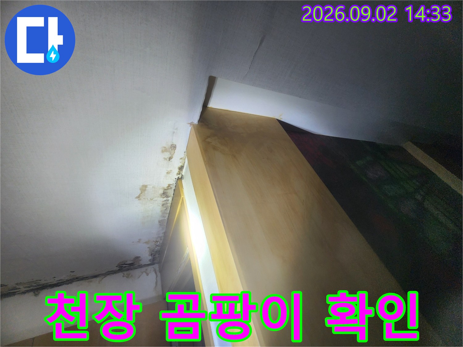 누수로 인해 발생한 천장 구석의 곰팡이와 변색 부위