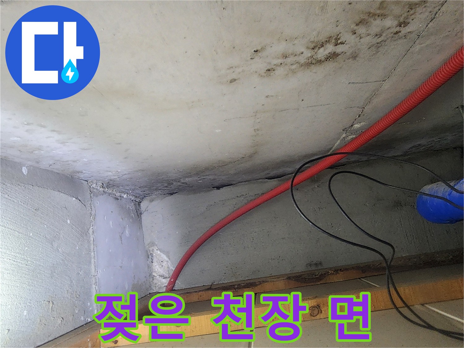 습기에 의한 천장 콘크리트 변색 및 곰팡이