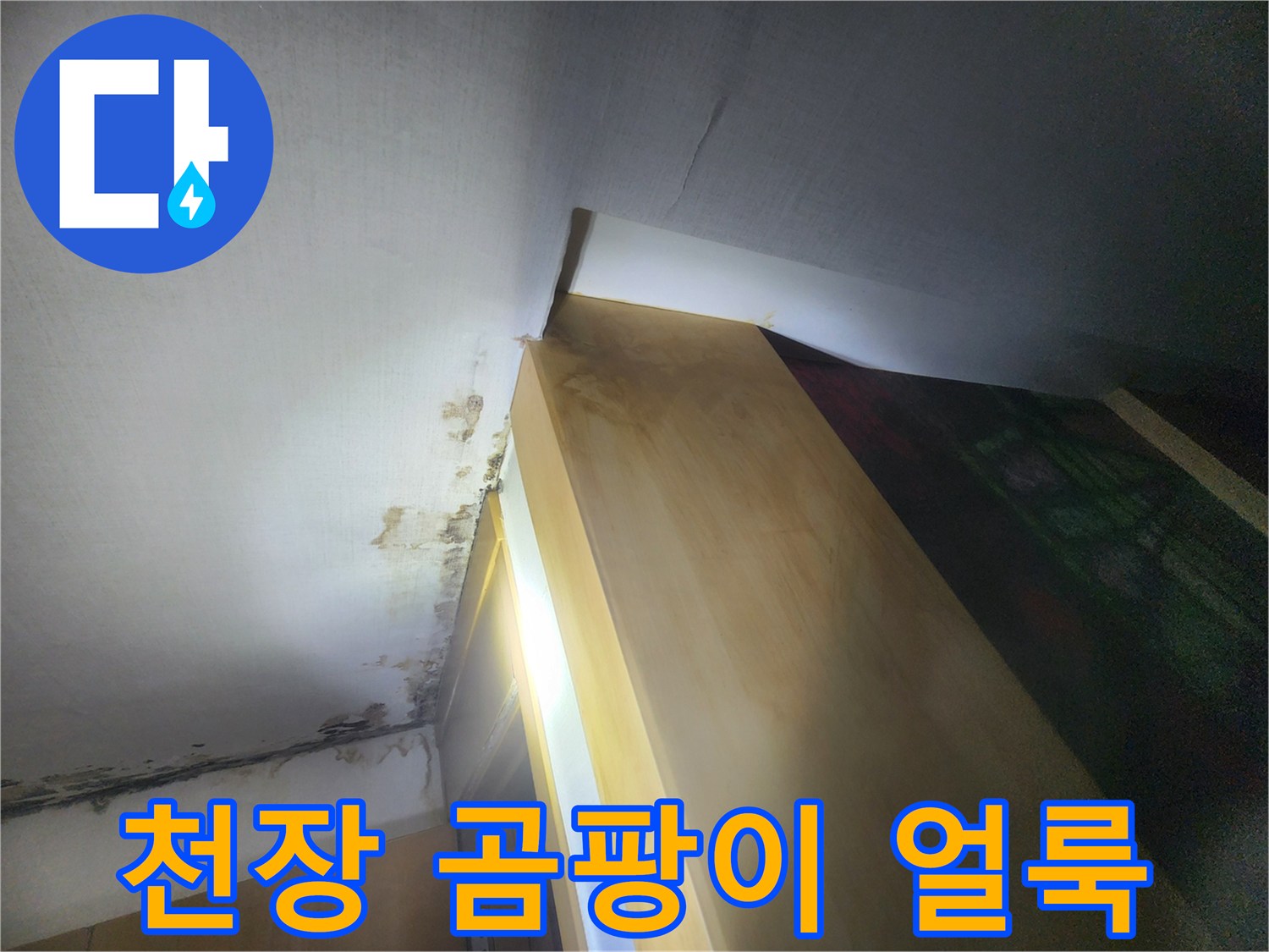 천장 벽지에 발생한 검은 곰팡이와 습기 흔적